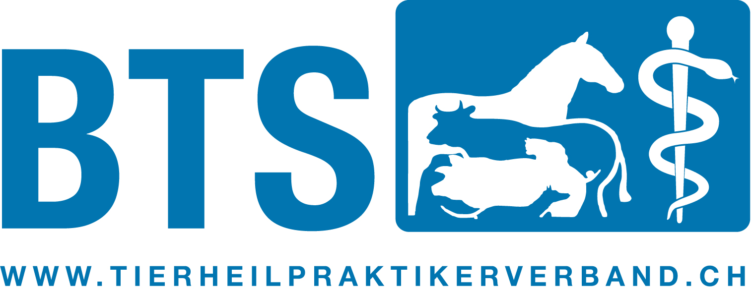 Körpersprache & Training mit Katzen